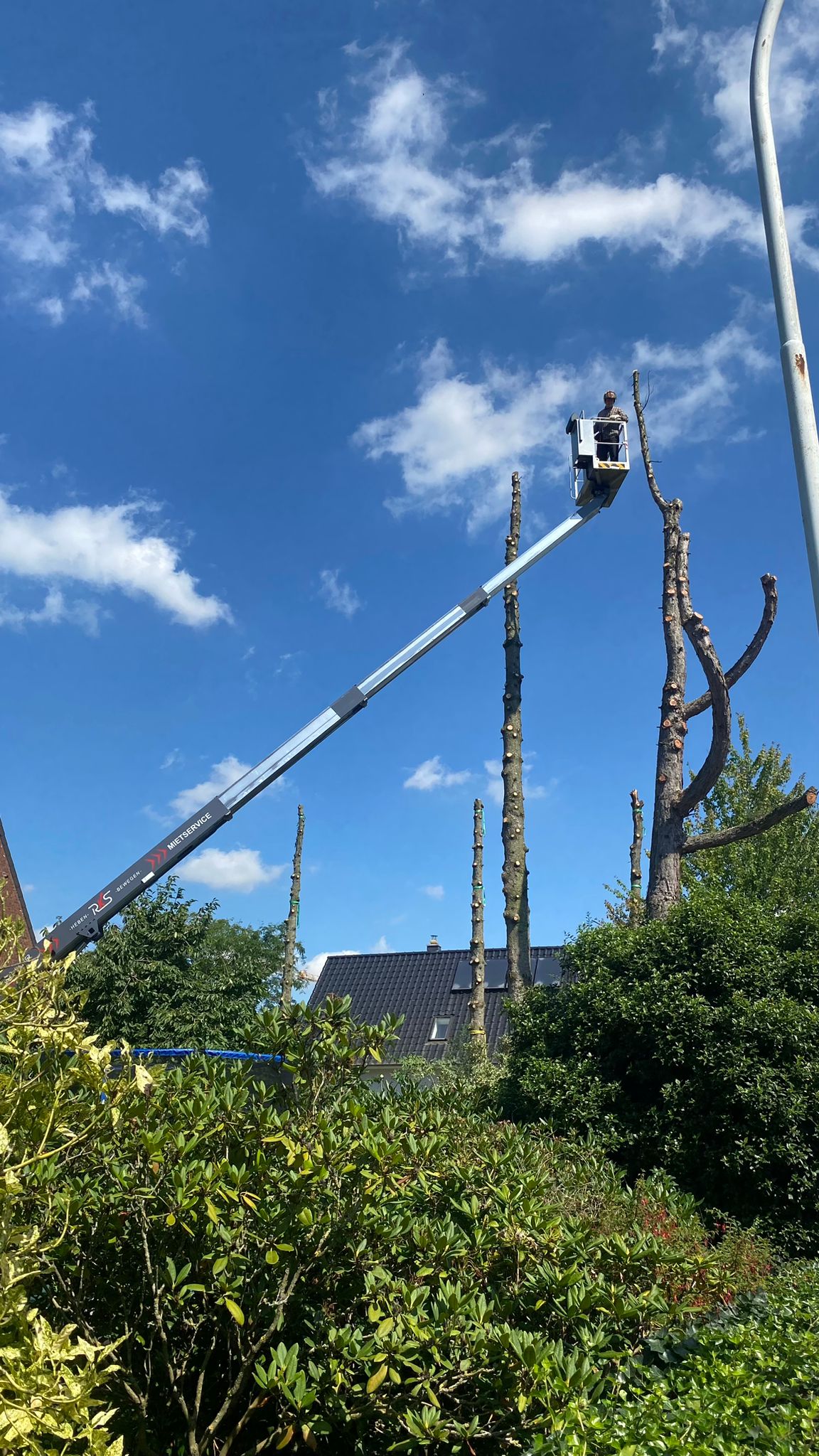 9992f7bb-f324-4738-9cc7-81d6f2c41964